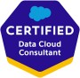 Data Cloud Consultant